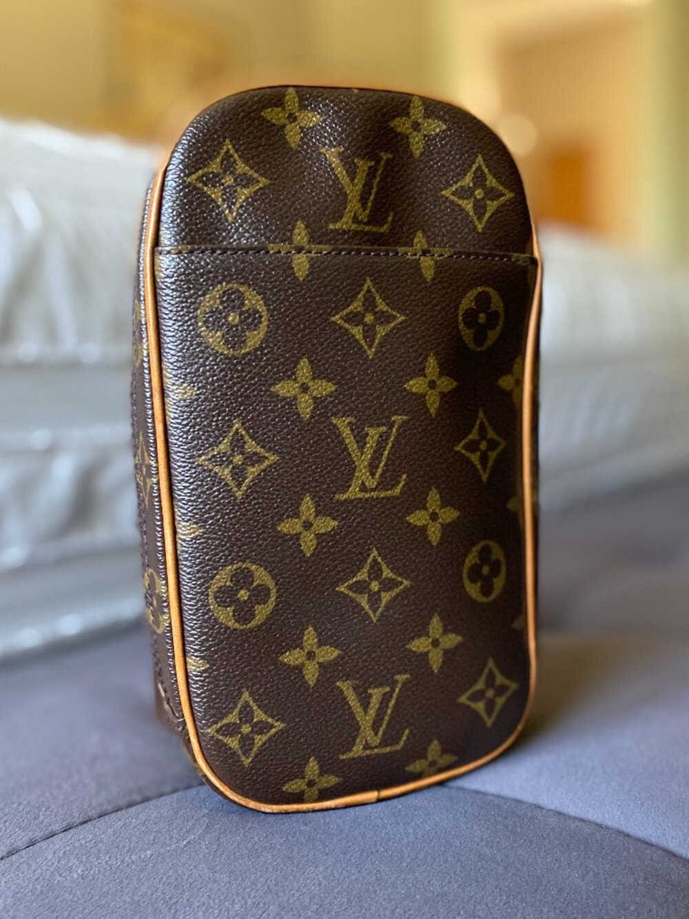 Louis Vuitton Monogram Pochette Gange Crossbody/Waist Handbag